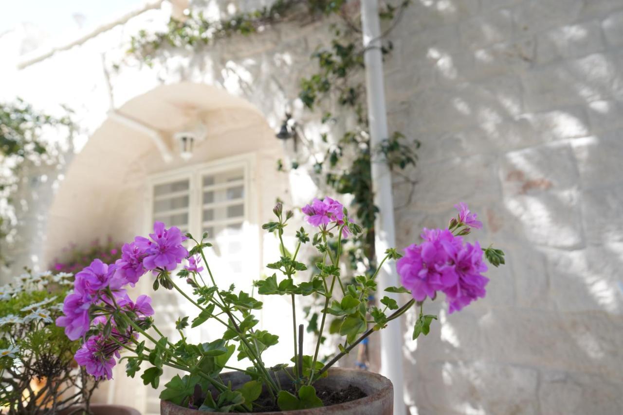 Trulli Di Puglia - Casa Vacanze In Valle D'Itria 마르티나프란카 외부 사진