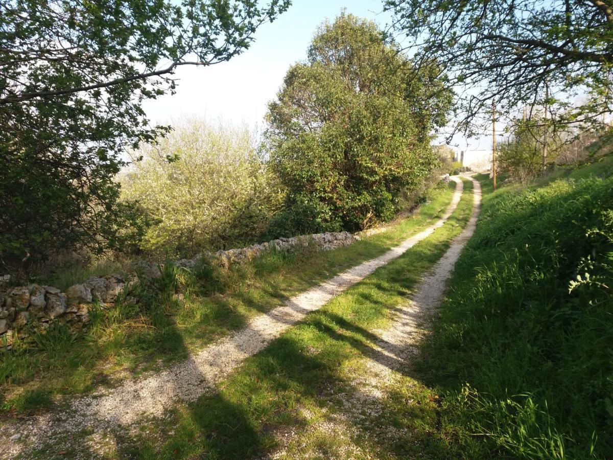 Trulli Di Puglia - Casa Vacanze In Valle D'Itria 마르티나프란카 외부 사진