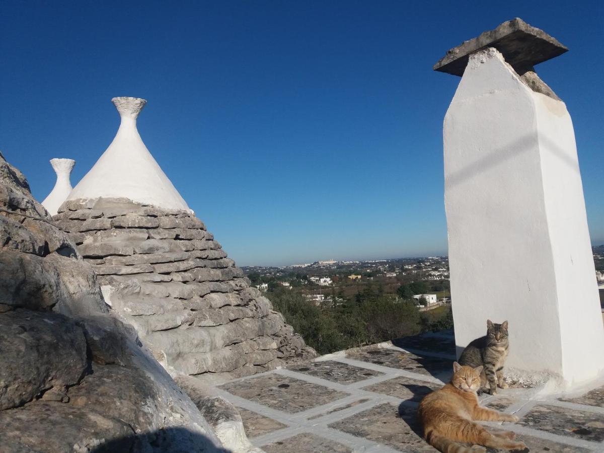 Trulli Di Puglia - Casa Vacanze In Valle D'Itria 마르티나프란카 외부 사진
